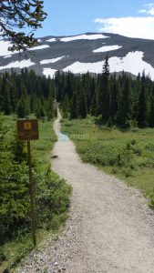 Parker Ridge Trail